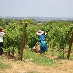 Quinta Da Chapeleira Em