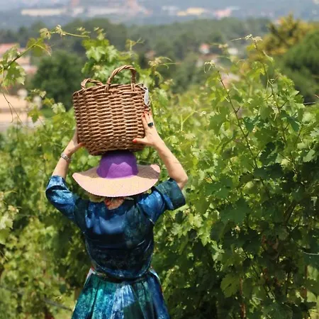 Quinta Da Chapeleira Em