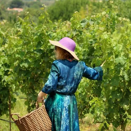 Quinta Da Chapeleira Em Villa