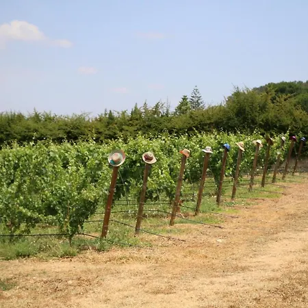Quinta Da Chapeleira Em Vila