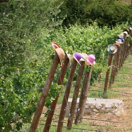 ヴィラ Quinta Da Chapeleira Em *