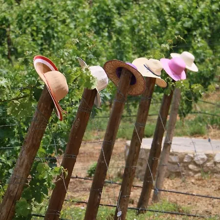 Quinta Da Chapeleira Em *