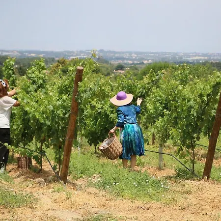 Quinta Da Chapeleira Em