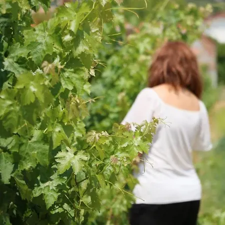 Villa Quinta Da Chapeleira Em Azeitão