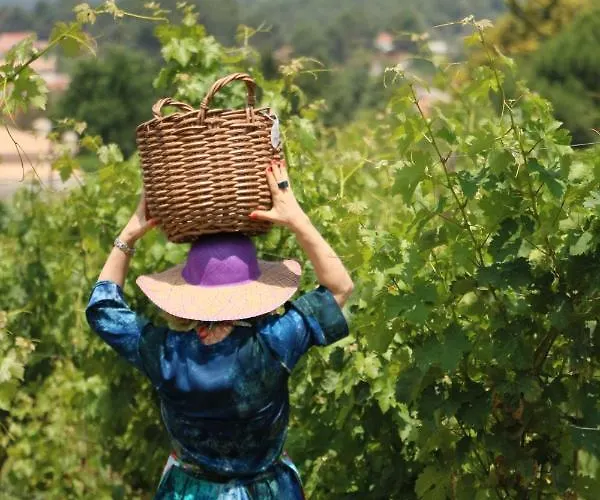 Quinta Da Chapeleira Em