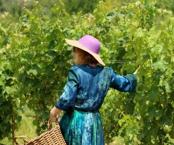 Quinta Da Chapeleira Em Villa
